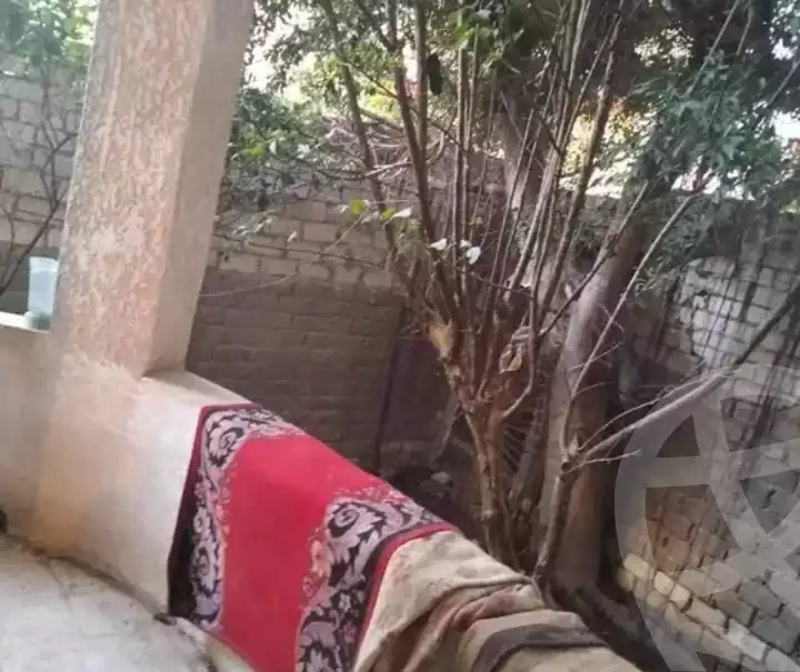 https://aqarmap.com.eg/en/listing/5657642-for-sale-alexandria-l-jmy-bw-ywsf