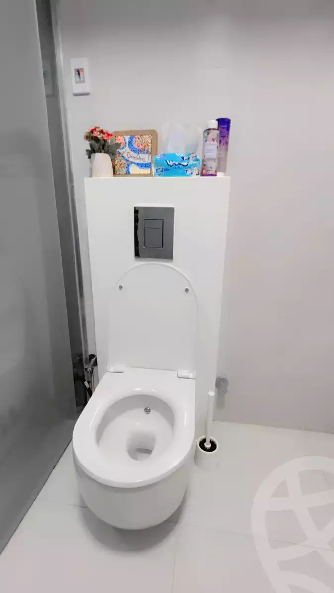 https://aqarmap.com.eg/en/listing/5663713-for-rent-cairo-al-zamalek-shr-th-hsyn