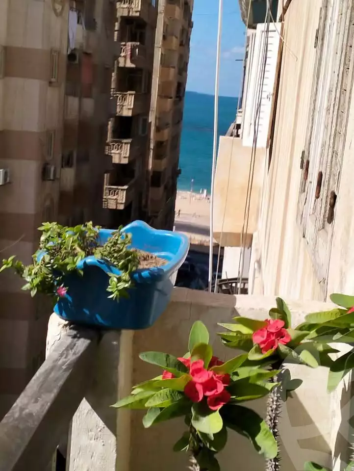 https://aqarmap.com.eg/en/listing/5677090-for-sale-alexandria-el-mandara-shr-jml-bd-lnsr
