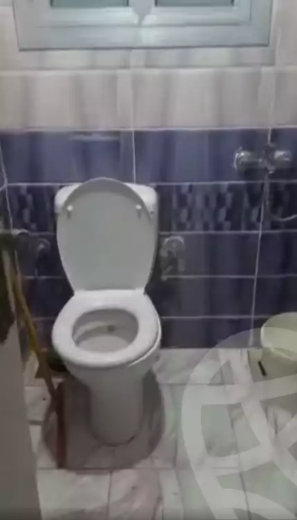 https://aqarmap.com.eg/ar/listing/5685489-for-sale-alexandria-l-jmy-lbytsh-el-hanafeya-st