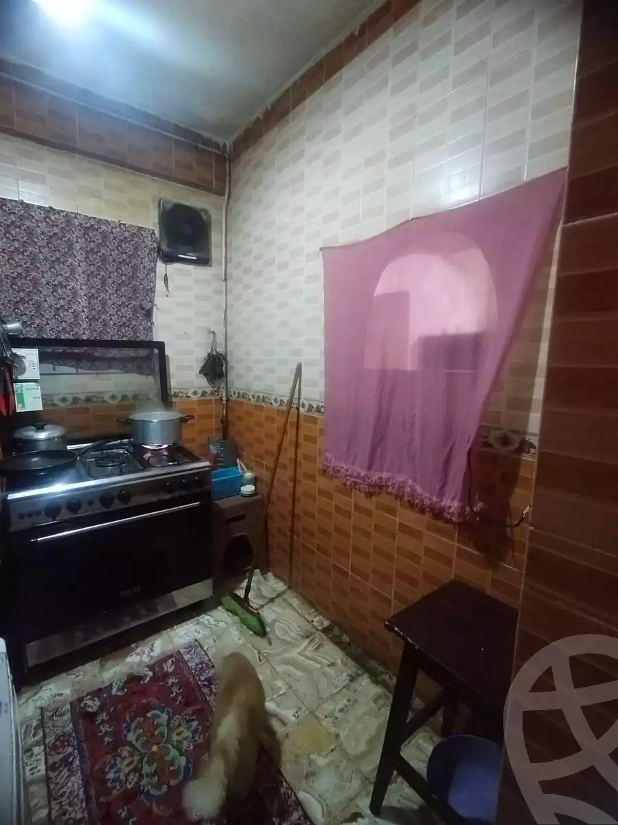 https://aqarmap.com.eg/en/listing/5686823-for-sale-alexandria-l-jmy-lbytsh-el-hay-st