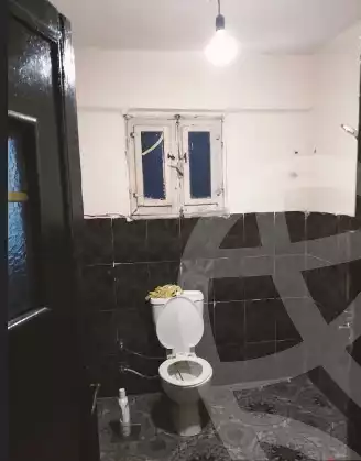 https://aqarmap.com.eg/en/listing/5688611-for-sale-alexandria-l-jmy-lbytsh-princess-st