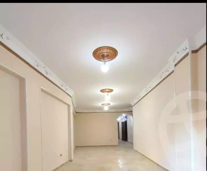 https://aqarmap.com.eg/en/listing/5693210-for-sale-alexandria-l-jmy-lbytsh-ibrahim-othman-st
