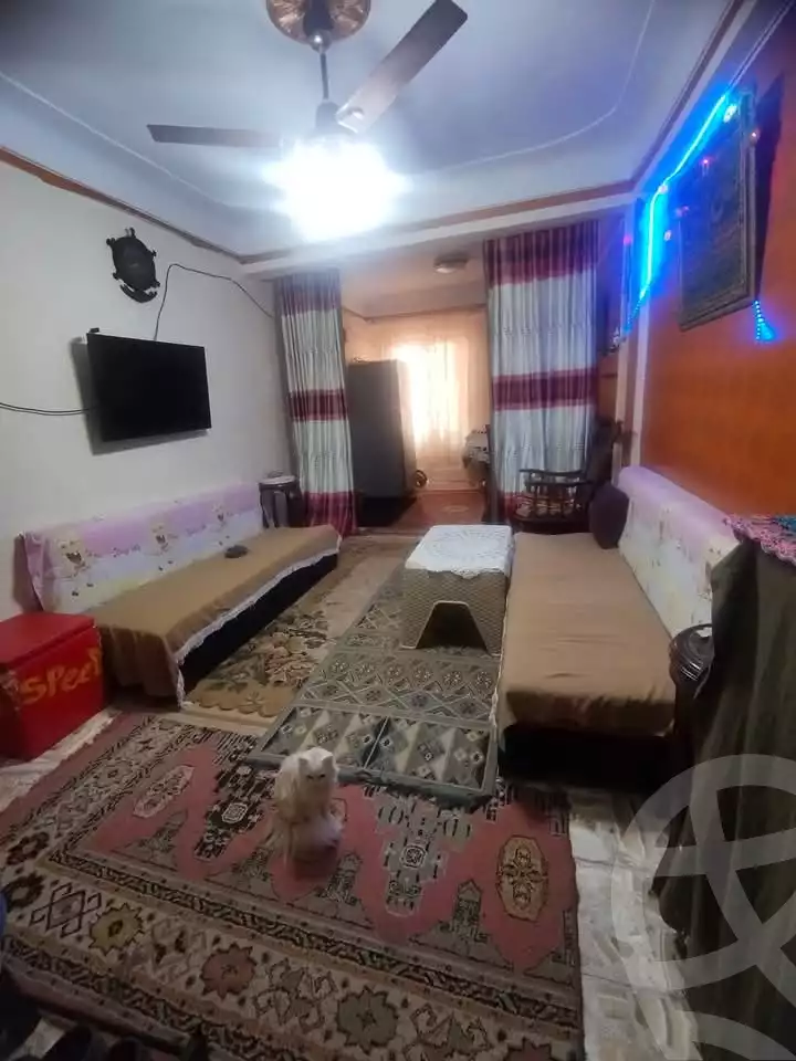https://aqarmap.com.eg/en/listing/5699305-for-sale-alexandria-l-jmy-lbytsh-el-hay-st