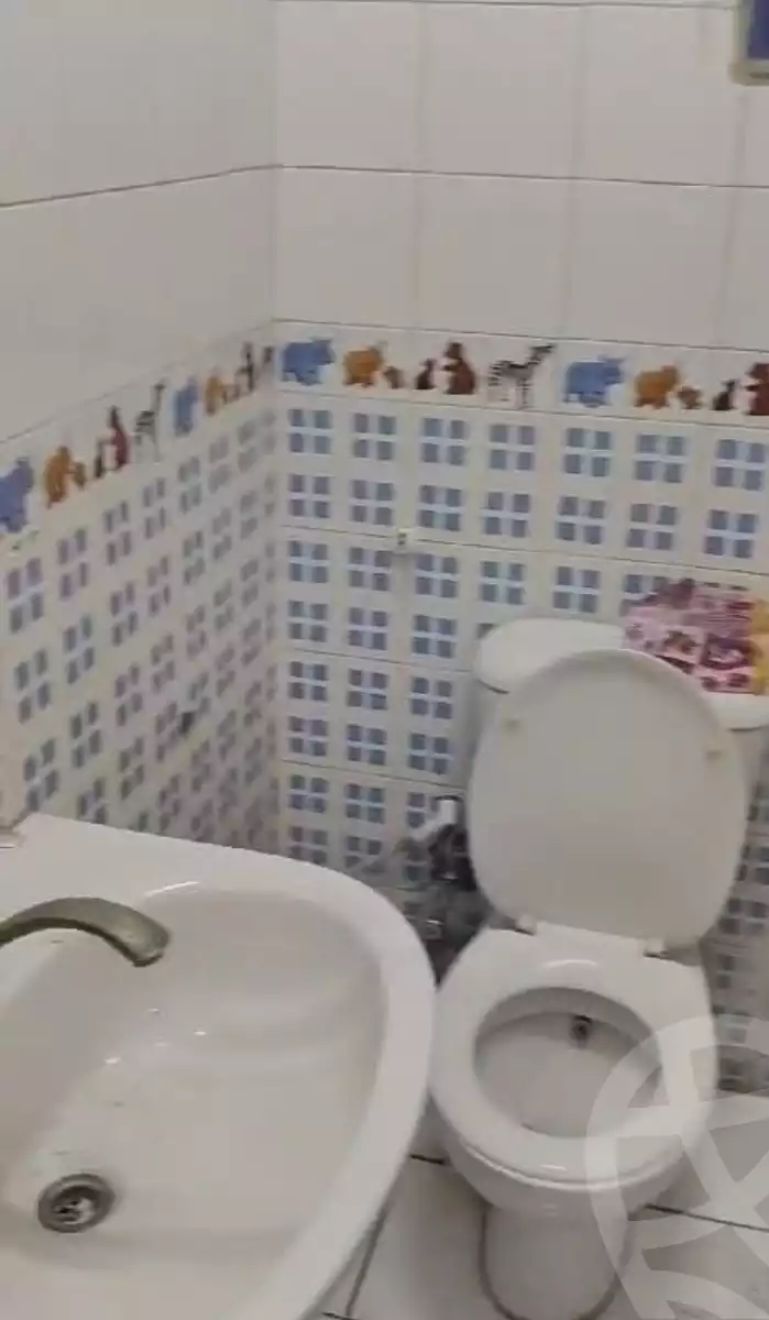 https://aqarmap.com.eg/en/listing/5699865-for-rent-cairo-dokki-manteqt-nadi-el-syd