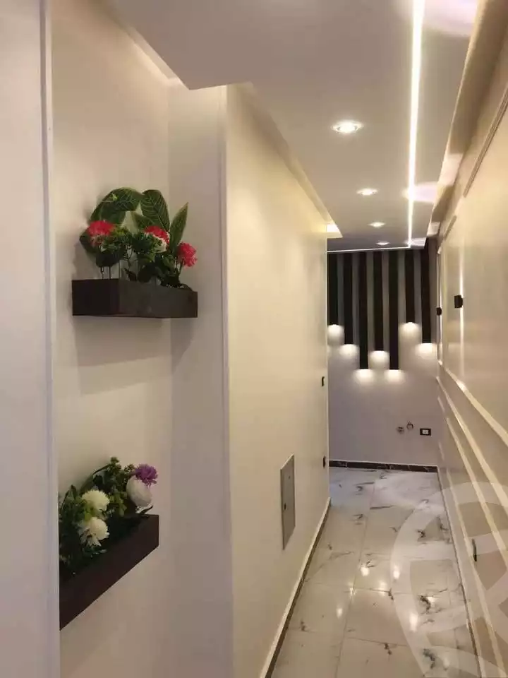 https://aqarmap.com.eg/en/listing/5701619-for-sale-cairo-mokattam-lhdb-l-ly-adly-el-melegy-st