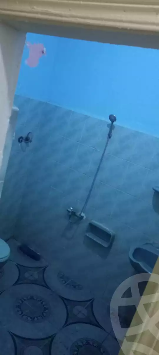 https://aqarmap.com.eg/en/listing/5701662-for-rent-alexandria-l-jmy-lbytsh-el-hay-st