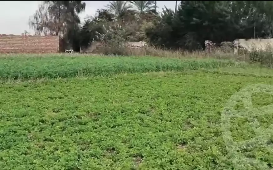 https://aqarmap.com.eg/en/listing/5703113-for-sale-dakahlia-mansoura-compounds-in-el-mansoura