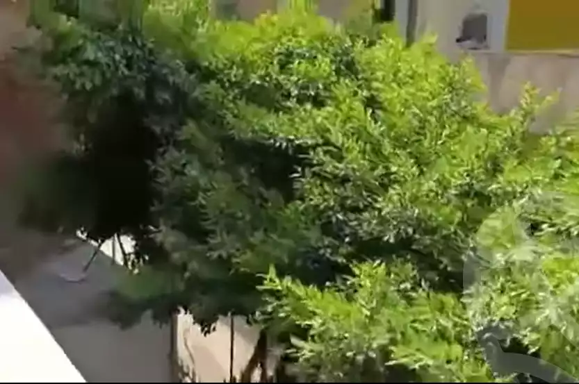 https://aqarmap.com.eg/en/listing/5703558-for-sale-alexandria-l-jmy-lbytsh-princess-st