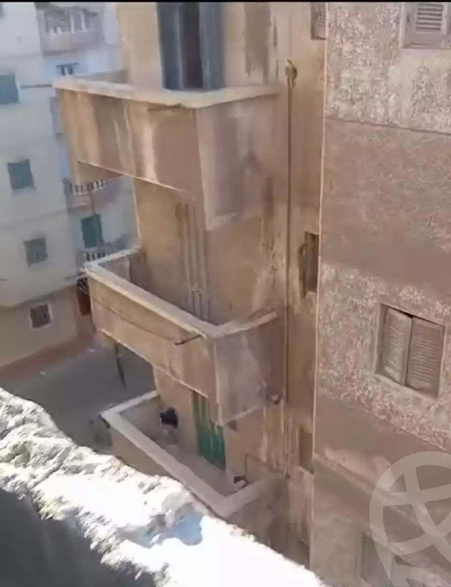 https://aqarmap.com.eg/ar/listing/5706805-for-sale-alexandria-l-jmy-lbytsh-el-hanafeya-st
