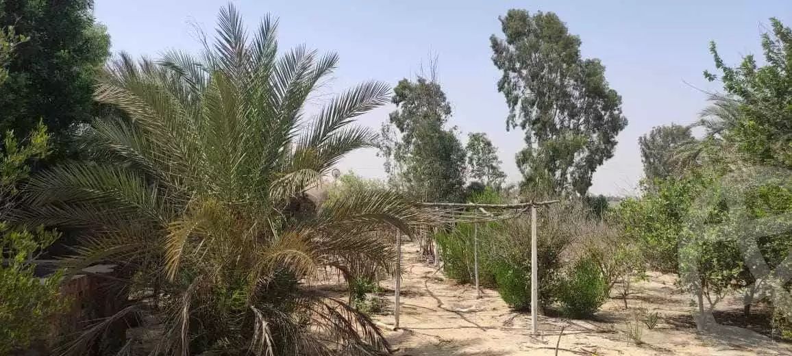 https://aqarmap.com.eg/en/listing/5708366-for-sale-cairo-el-sheikh-zayed-city-lshykh-zyd-ljdyd-el-reef-el-oroby
