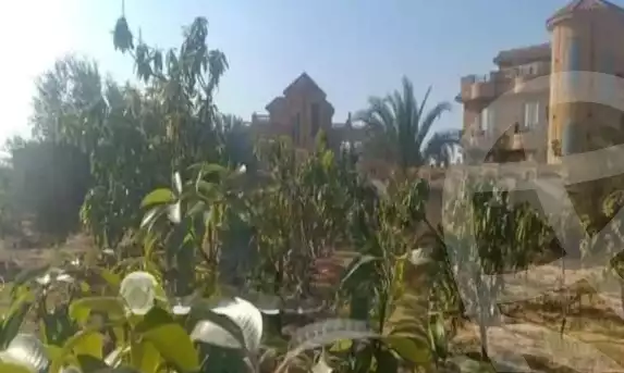 https://aqarmap.com.eg/en/listing/5713233-for-sale-cairo-el-mansuriyyah