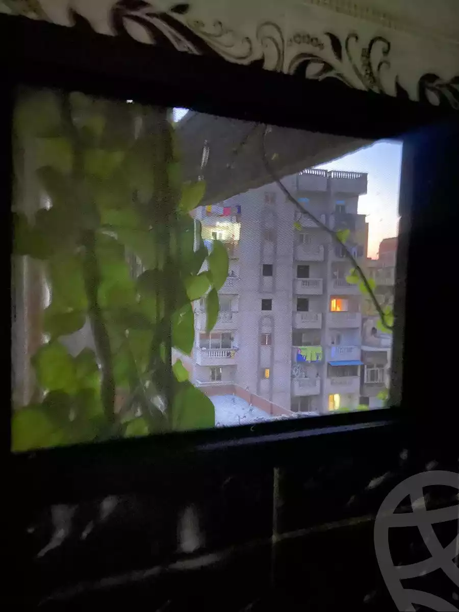 https://aqarmap.com.eg/en/listing/5718922-for-sale-alexandria-l-jmy-lbytsh-shahr-al-assal-st