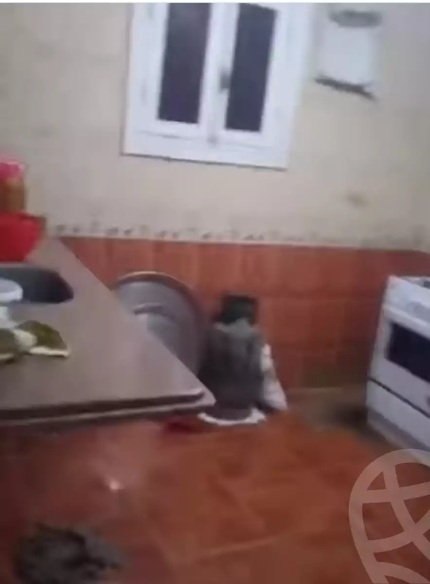 https://aqarmap.com.eg/en/listing/5721250-for-sale-alexandria-alexandria-marsa-matrouh-rd