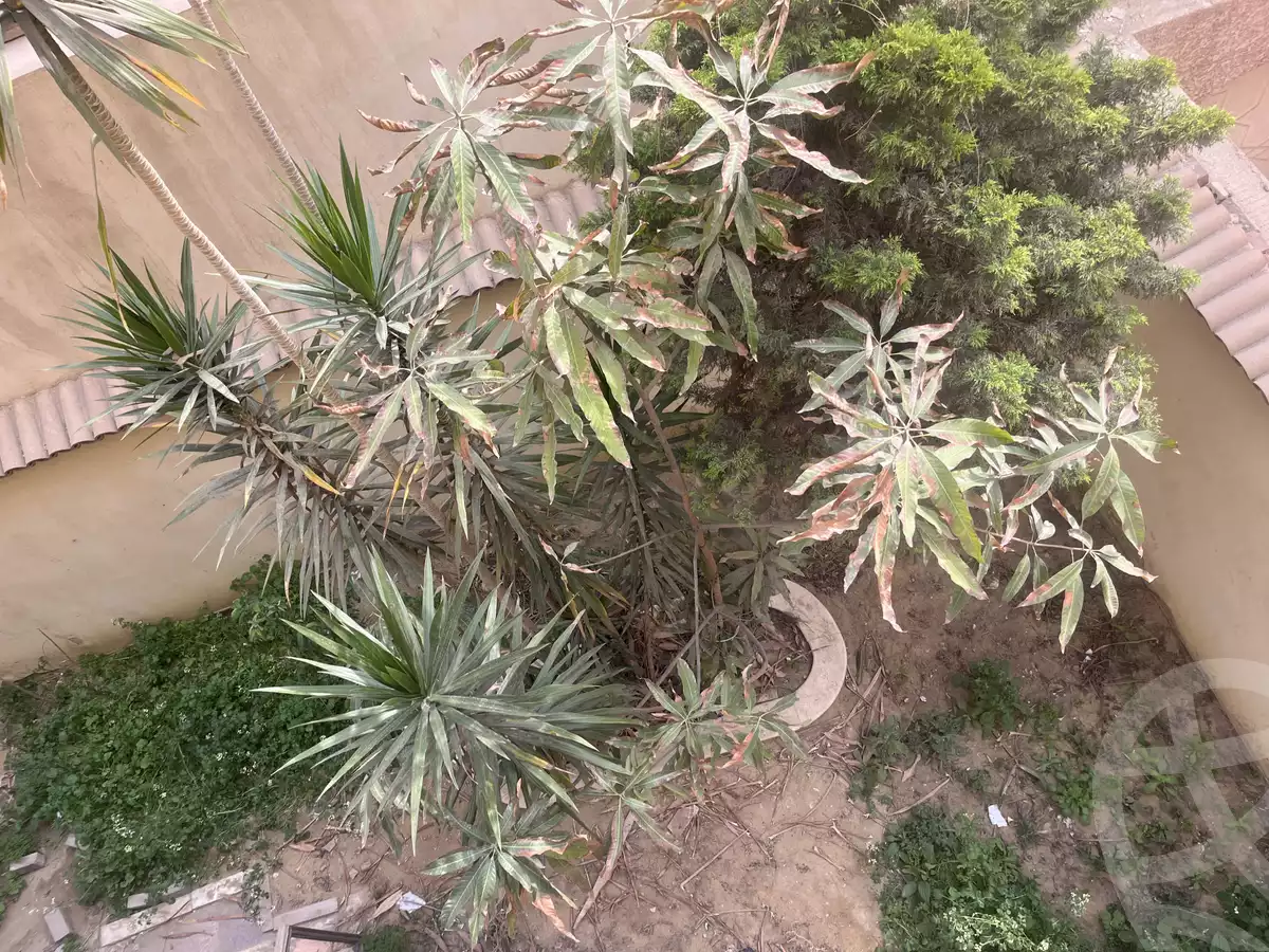 https://aqarmap.com.eg/en/listing/5721315-for-sale-cairo-new-cairo-el-ahyaa-third-neighborhood-street-1