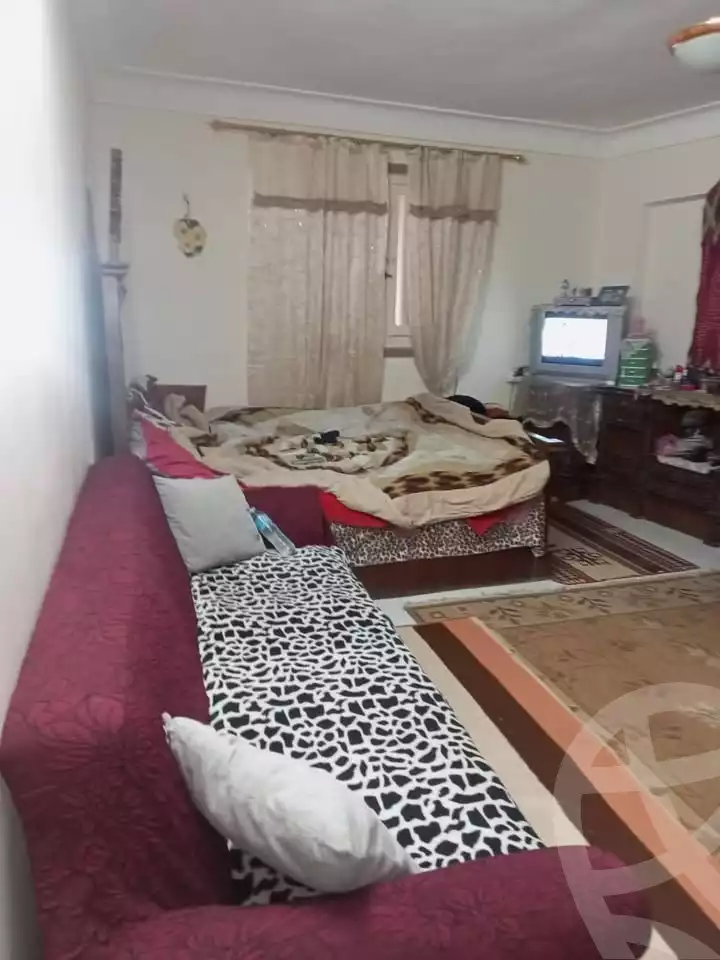https://aqarmap.com.eg/en/listing/5721904-for-sale-alexandria-l-jmy-el-hanouvel-el-zahraa-city-st