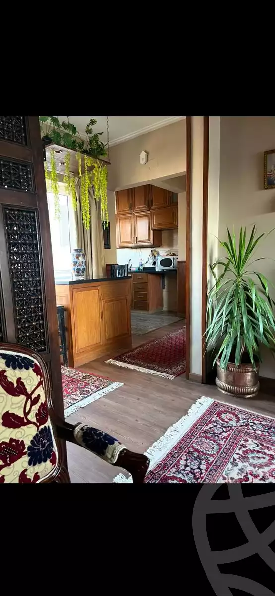 https://aqarmap.com.eg/en/listing/5721995-for-rent-cairo-el-agouza