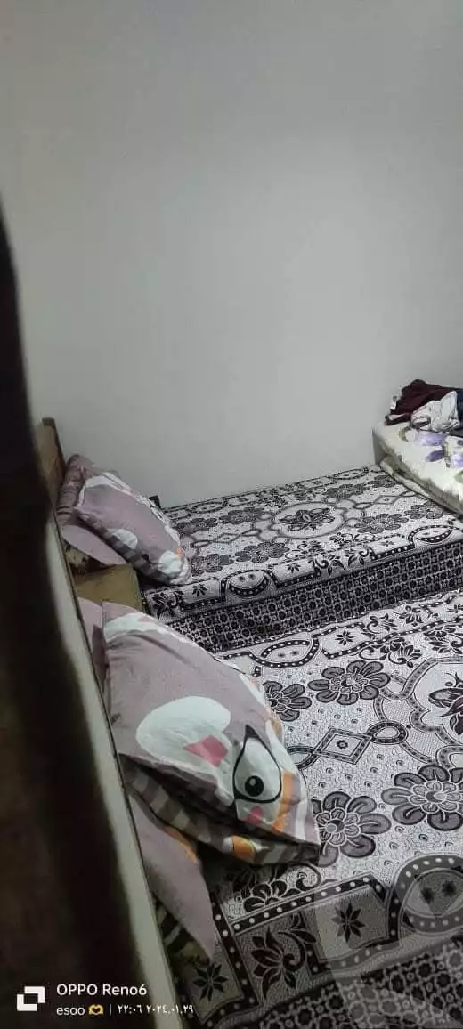 https://aqarmap.com.eg/ar/listing/5727202-for-rent-alexandria-l-jmy-lbytsh-shahr-al-assal-st