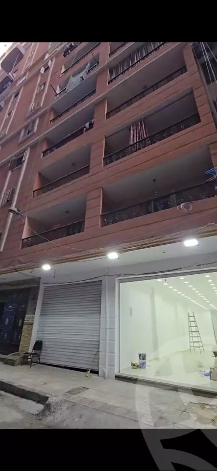 https://aqarmap.com.eg/en/listing/5743009-for-rent-alexandria-ganaklis