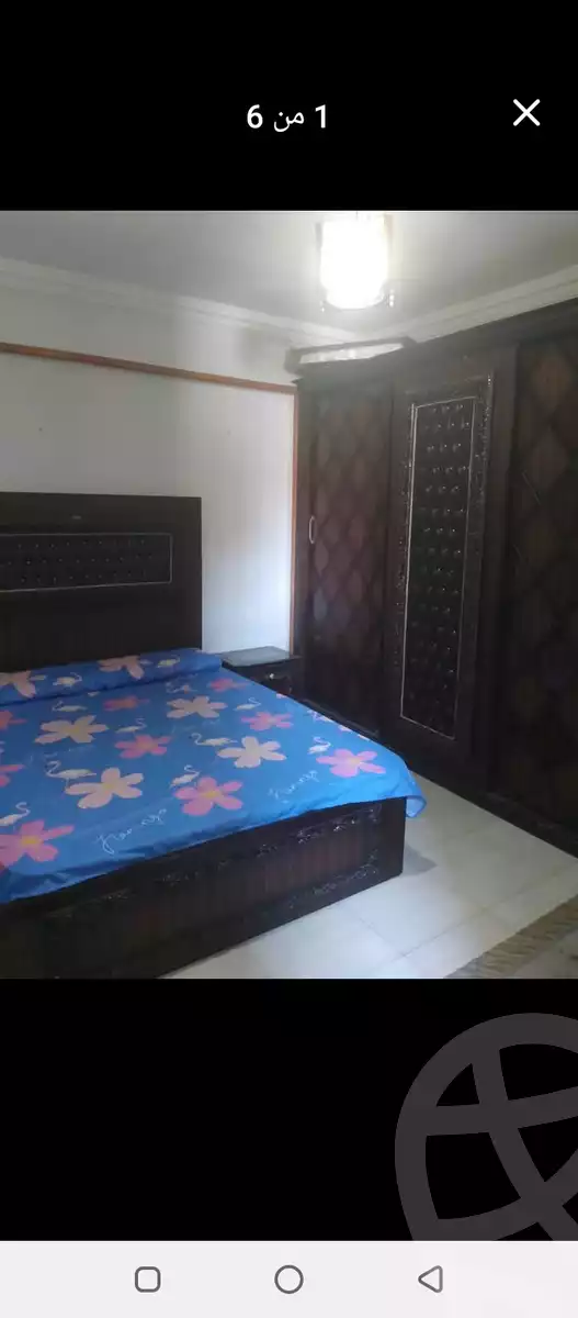 https://aqarmap.com.eg/en/listing/5744340-for-rent-alexandria-miami-street-56