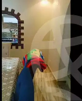 https://aqarmap.com.eg/en/listing/5745140-for-sale-cairo-nozha-2-Street-15