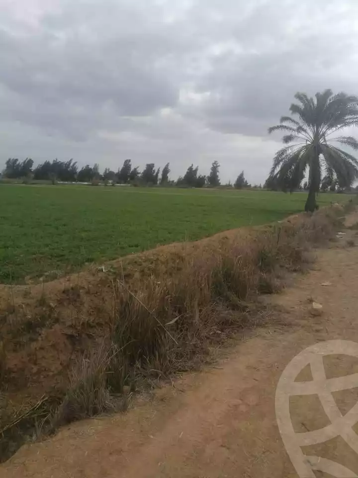 https://aqarmap.com.eg/en/listing/5745293-for-sale-alexandria-cairo-alexandria-desert-road