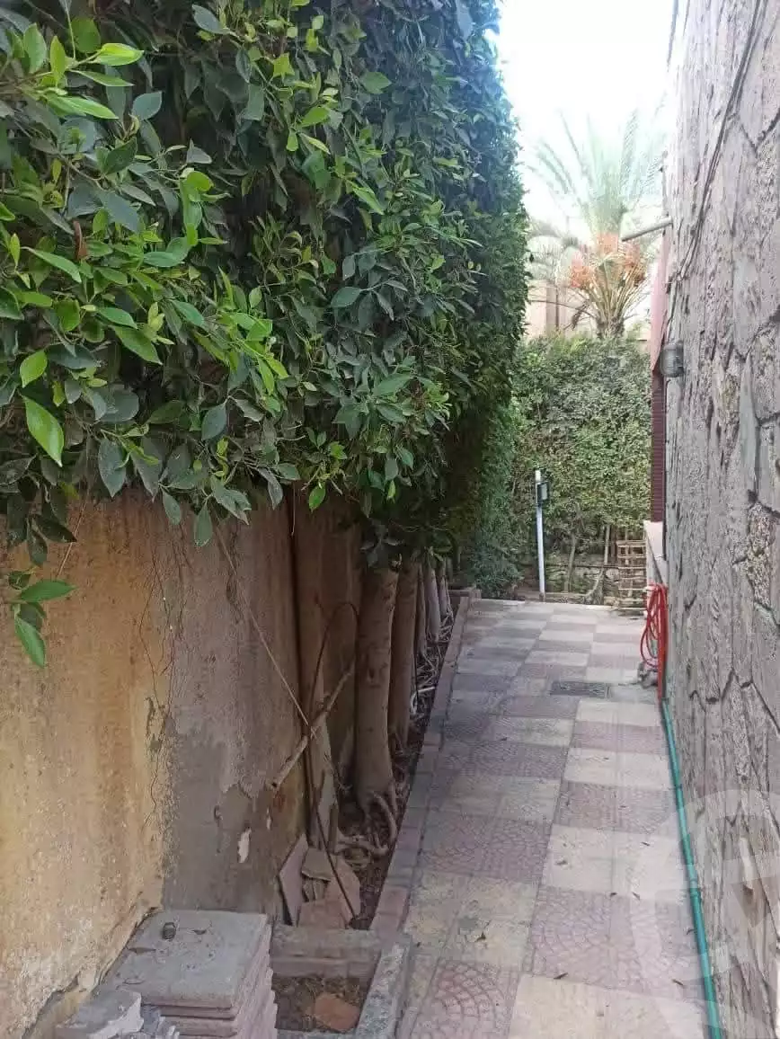 https://aqarmap.com.eg/en/listing/5745559-for-sale-alexandria-l-jmy-lbytsh-el-batal-ahmed-abd-el-aziz-belbis-st