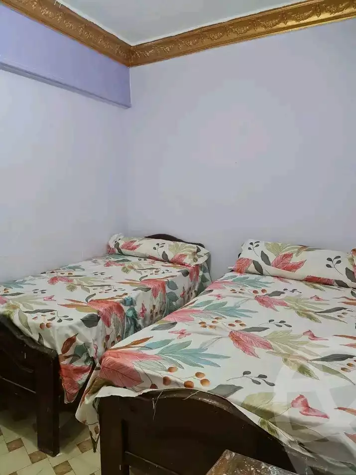 https://aqarmap.com.eg/en/listing/5747342-for-rent-alexandria-miami