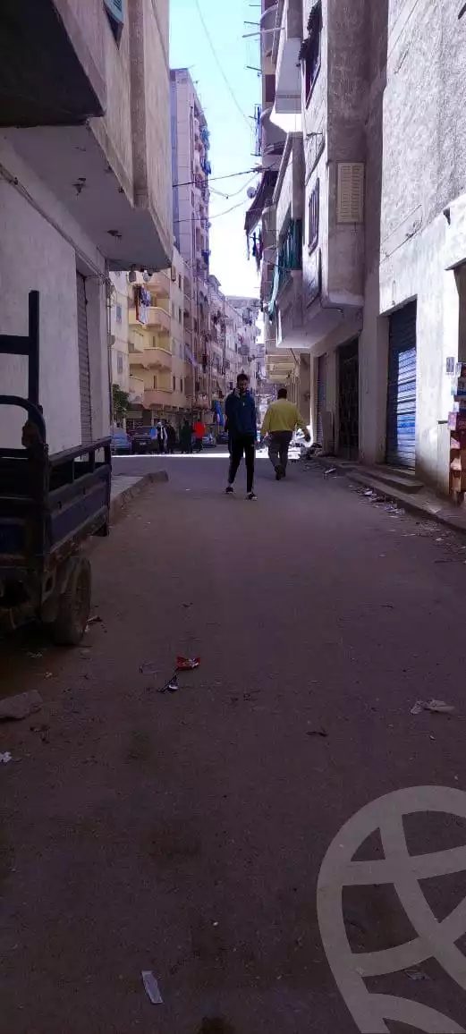 https://aqarmap.com.eg/en/listing/5759655-for-sale-alexandria-l-jmy-lbytsh-princess-st