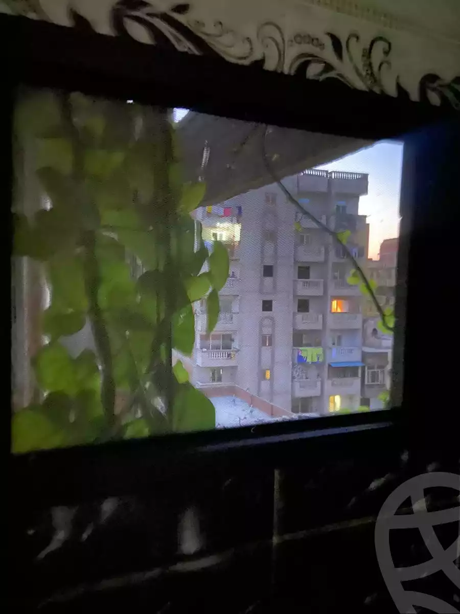 https://aqarmap.com.eg/en/listing/5765249-for-sale-alexandria-l-jmy-lbytsh-shahr-al-assal-st