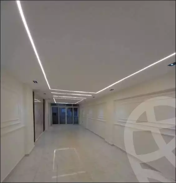https://aqarmap.com.eg/en/listing/5766859-for-sale-alexandria-l-jmy-lbytsh-al-kaada-st