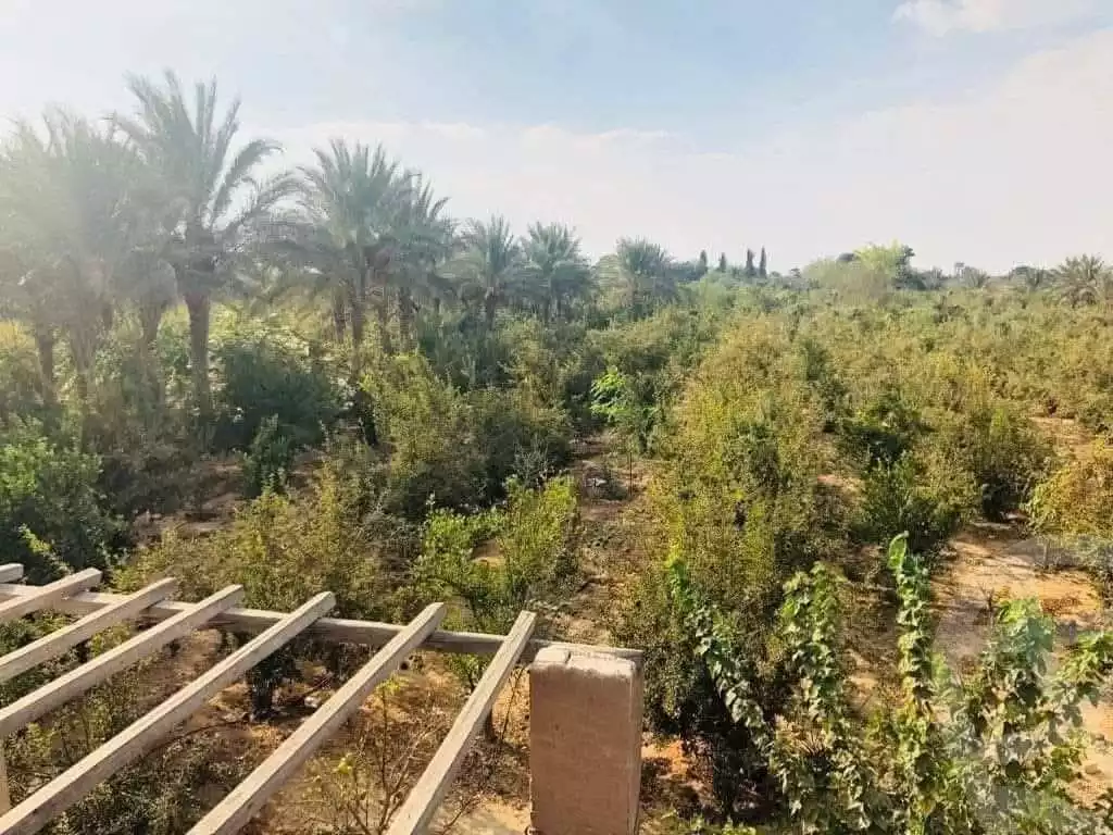 https://aqarmap.com.eg/en/listing/5768493-for-sale-alexandria-cairo-alexandria-desert-road