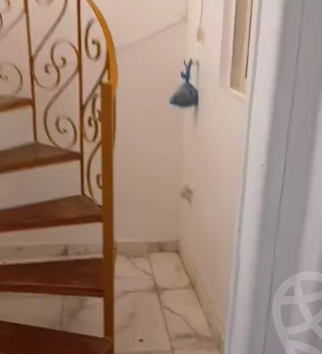 https://aqarmap.com.eg/en/listing/5774019-for-sale-alexandria-l-jmy-shataa-el-nakheel