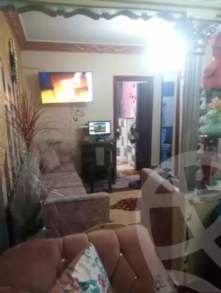 https://aqarmap.com.eg/en/listing/5776882-for-rent-alexandria-l-jmy-bw-ywsf