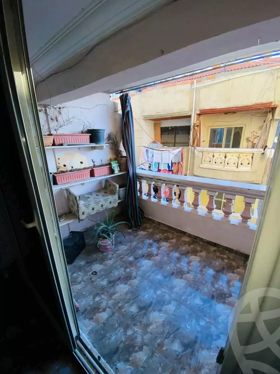 https://aqarmap.com.eg/en/listing/5778491-for-sale-alexandria-l-jmy-lbytsh-qased-kareem-st