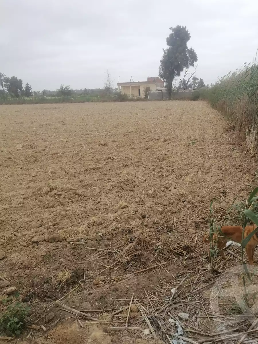 https://aqarmap.com.eg/en/listing/5779407-for-sale-alexandria-cairo-alexandria-desert-road