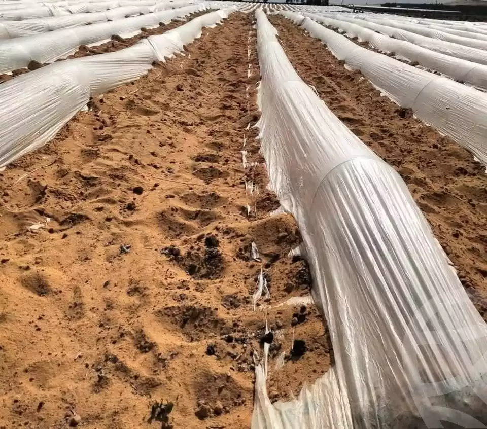 https://aqarmap.com.eg/en/listing/5779497-for-sale-alexandria-cairo-alexandria-desert-road