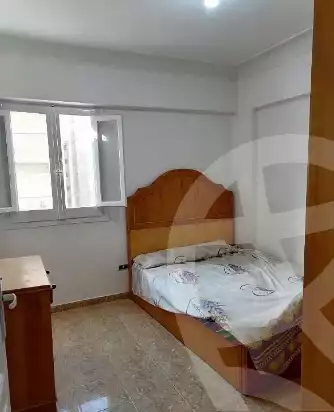 https://aqarmap.com.eg/en/listing/5779499-for-rent-alexandria-l-jmy-shataa-el-nakheel