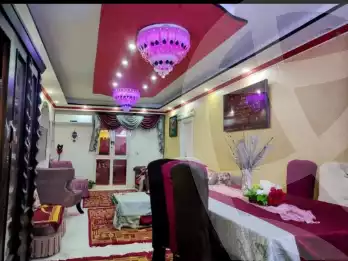https://aqarmap.com.eg/en/listing/5779785-for-sale-cairo-ain-shams-jsr-lswys