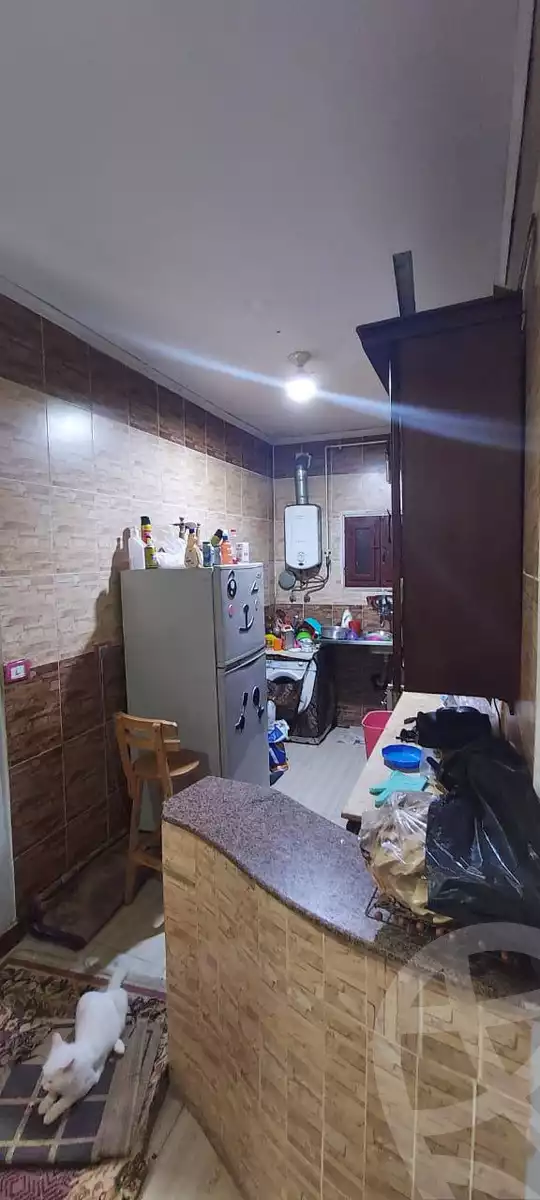 https://aqarmap.com.eg/en/listing/5779813-for-rent-cairo-helwan-el-tayaran-city