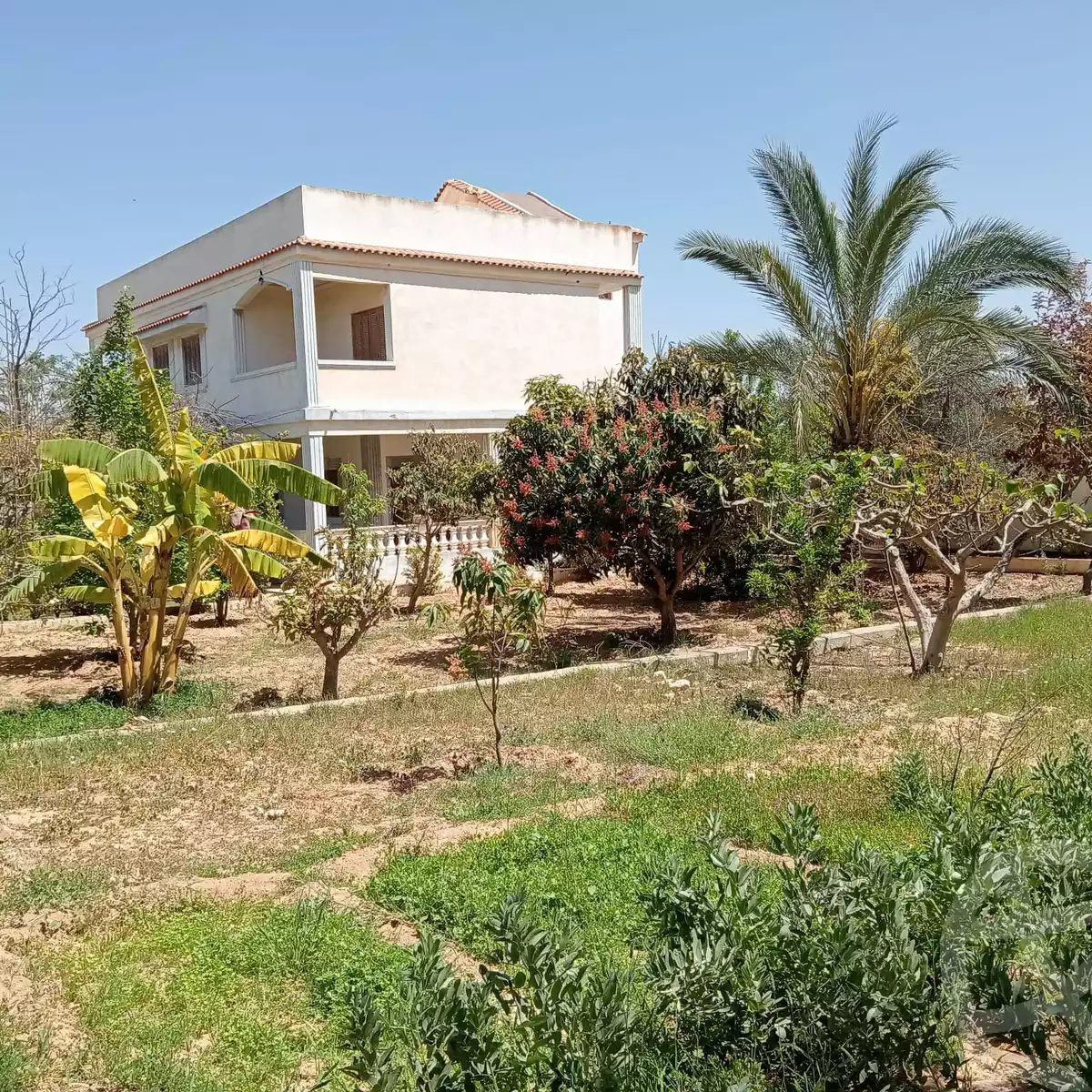 https://aqarmap.com.eg/en/listing/5779938-for-sale-alexandria-king-maryot