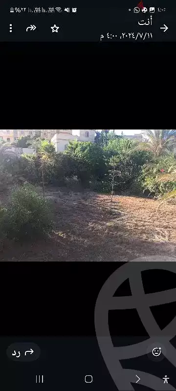 https://aqarmap.com.eg/en/listing/5780137-for-sale-alexandria-l-jmy-bw-ywsf