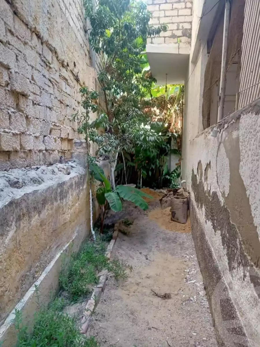 https://aqarmap.com.eg/en/listing/5781788-for-sale-alexandria-l-jmy-lbytsh-al-aeda-al-kadema-st