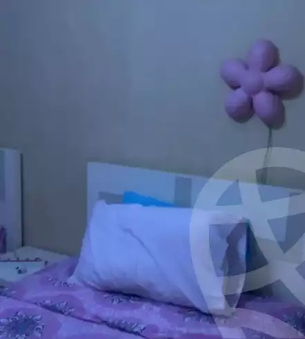 https://aqarmap.com.eg/en/listing/5787474-for-rent-cairo-faisal