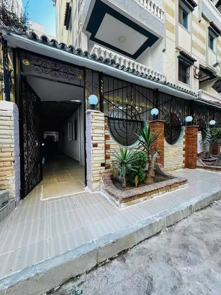 https://aqarmap.com.eg/en/listing/5801038-for-sale-alexandria-l-jmy-shataa-el-nakheel
