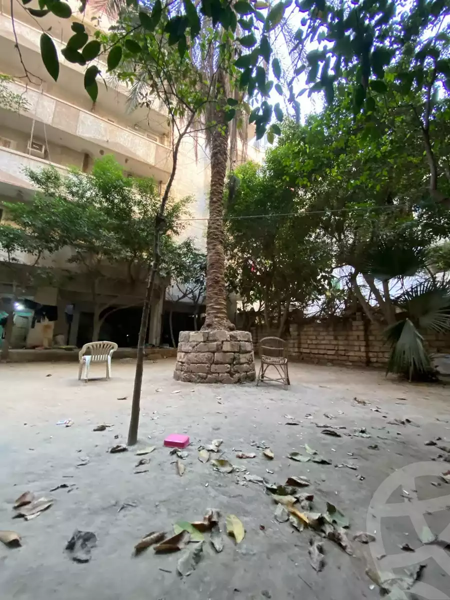 https://aqarmap.com.eg/en/listing/5801960-for-sale-alexandria-l-jmy-lbytsh-princess-st