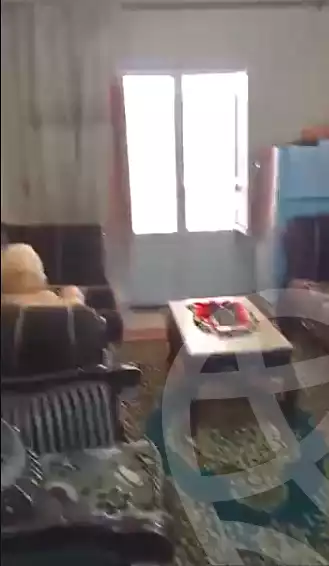 https://aqarmap.com.eg/en/listing/5804450-for-sale-alexandria-l-jmy-el-hanouvel