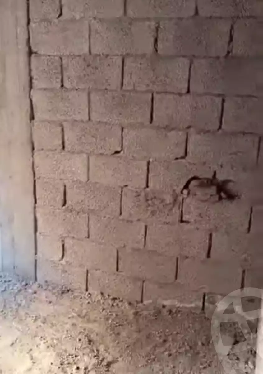 https://aqarmap.com.eg/ar/listing/5817179-for-sale-alexandria-l-jmy-el-hanouvel-el-hag-radwan-mosque-st