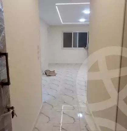 https://aqarmap.com.eg/en/listing/5825768-for-rent-cairo-faisal