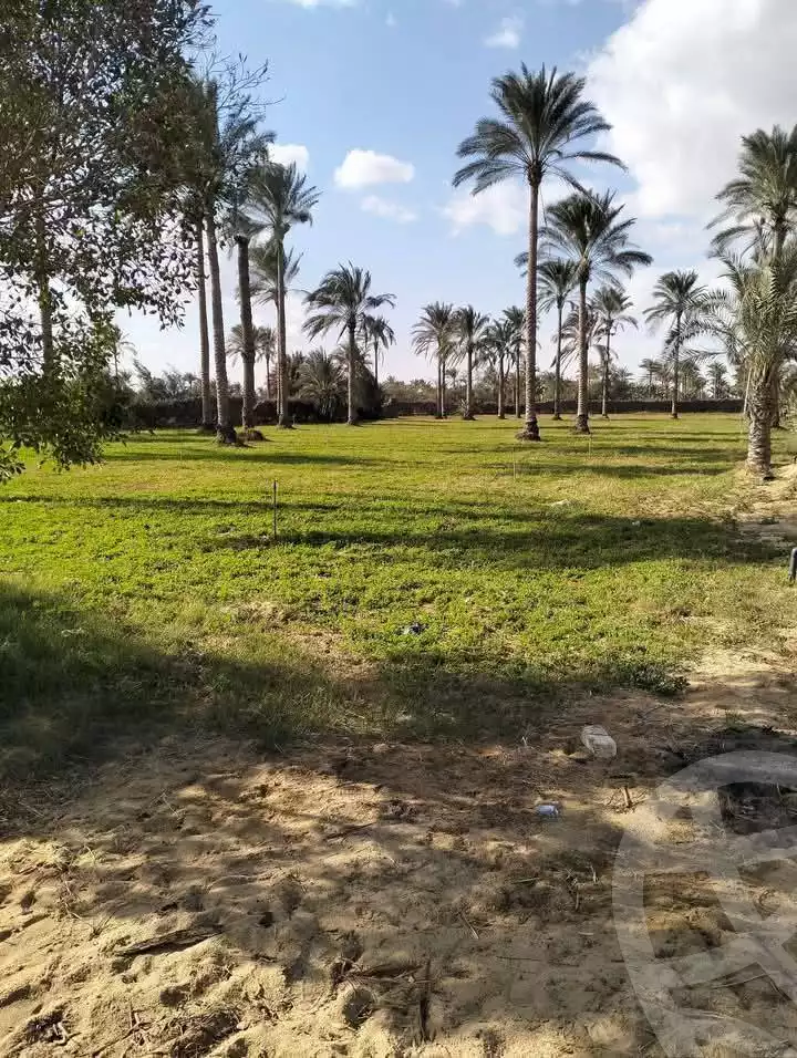 https://aqarmap.com.eg/en/listing/5827703-for-sale-beheira-wadi-el-natrun-bany-salama